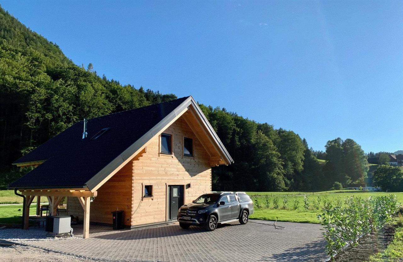 Das Gruenhaus - Dein Chalet In Gruenau Im Almtal Ngoại thất bức ảnh